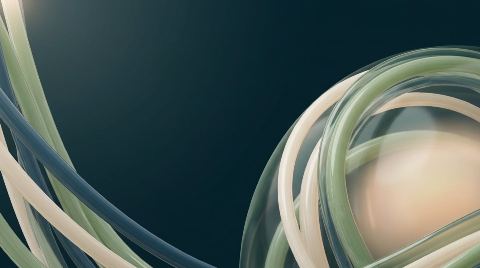 Market, Credit & Liquidity Risk — Capmark Advisory